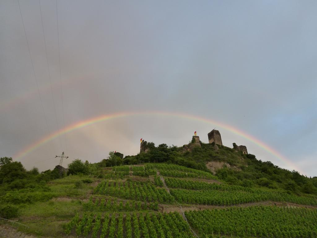 Hotel Haus Burg Metternich Beilstein  Eksteriør billede